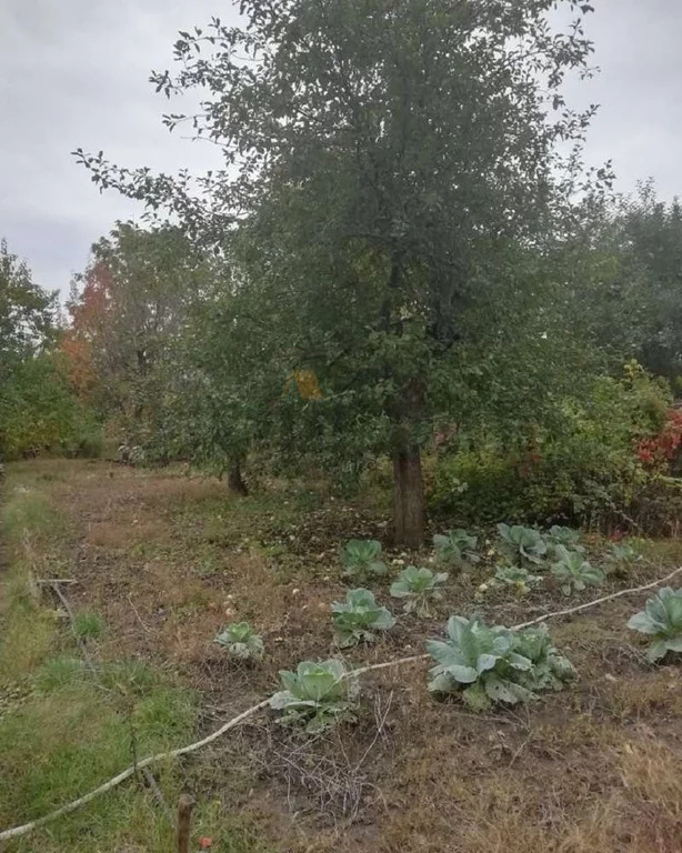 Продажа дома, Саратов, 3-й Пихтовый проезд - Фото 3