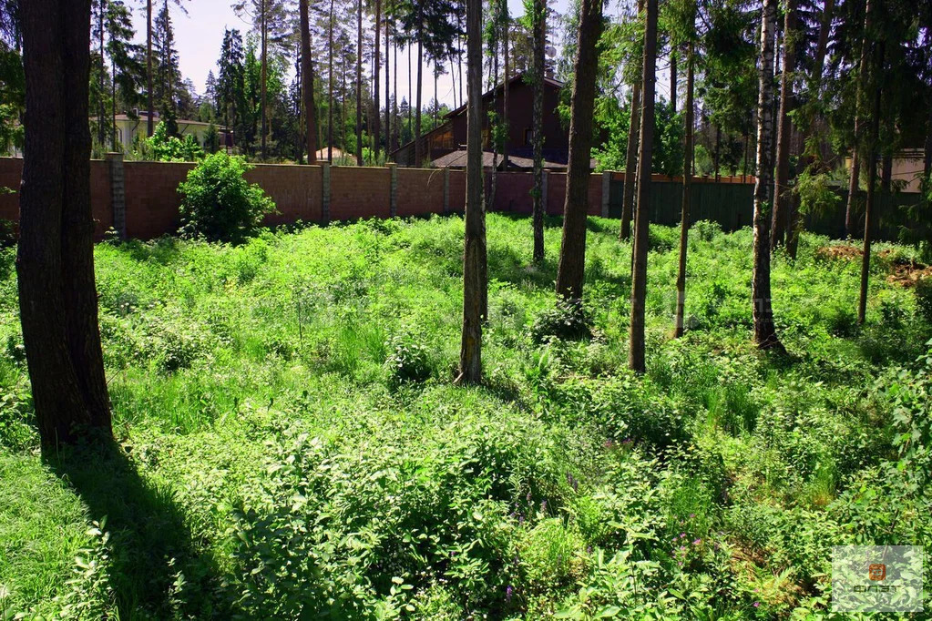 Продажа участка, Люткино, Пестречинский район, ул. Спасская - Фото 3