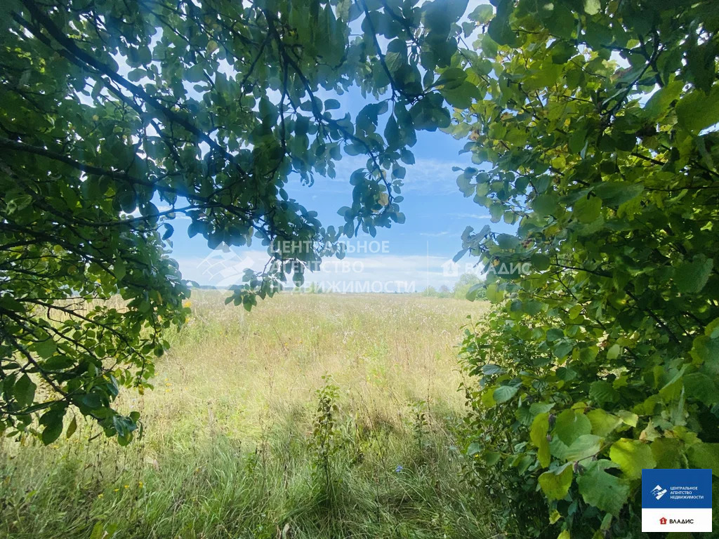 Продажа дома, Новопанское, Михайловский район, ул. Слобода - Фото 11