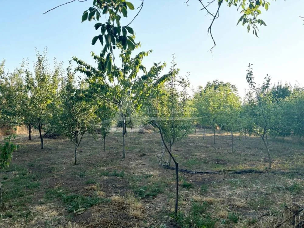 Продажа дома, Новопавловск, Кировский район, ул. Ставропольская - Фото 14