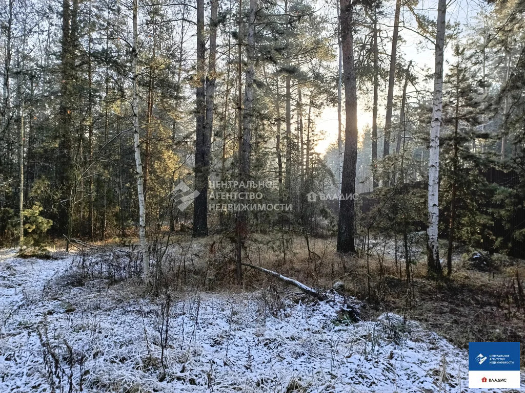 Продажа участка, Алеканово, Рязанский район - Фото 3