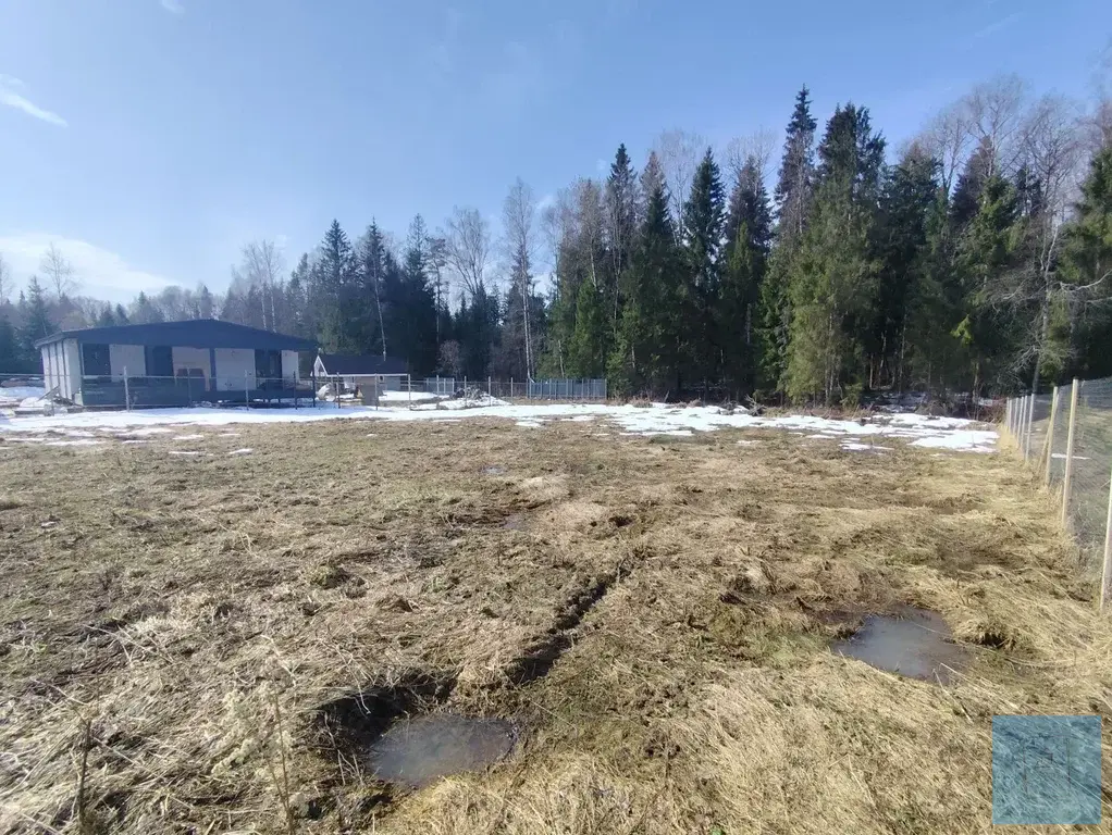 12 соток в Шапкино, СНТ Звездочка - Фото 5