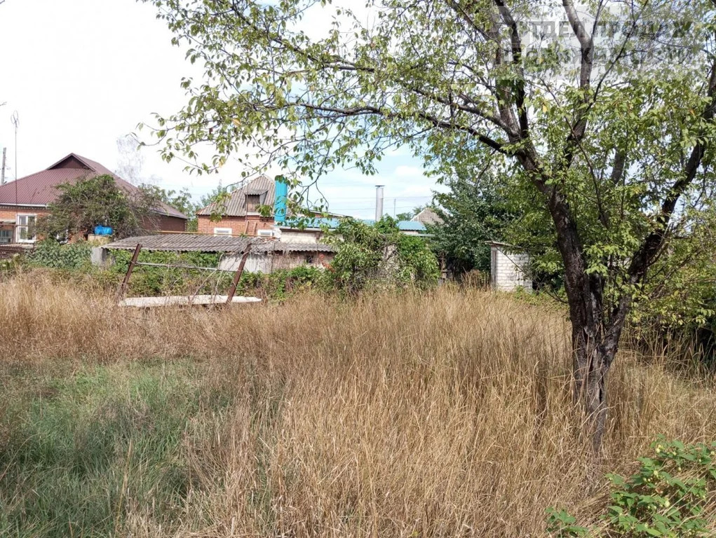 Объект 537551 - Фото 18