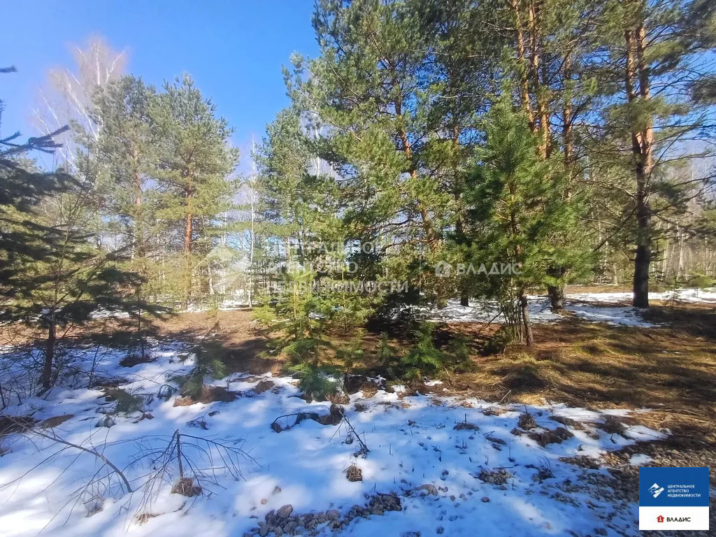 Продажа участка, Багданово, Рязанский район, Удачная улица - Фото 3