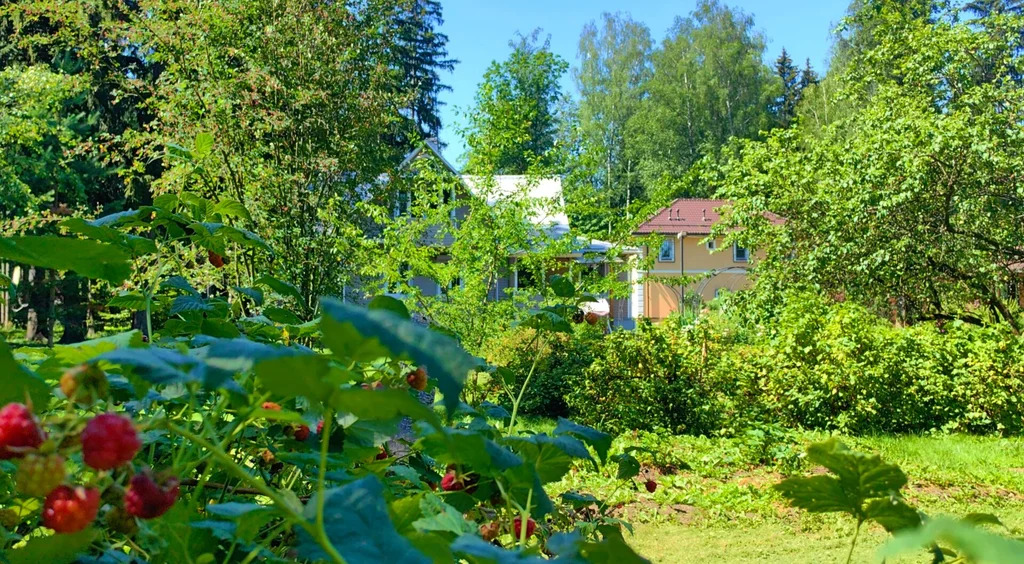 Продажа участка, Апрелевка, Наро-Фоминский район, ул. Кутузова - Фото 22