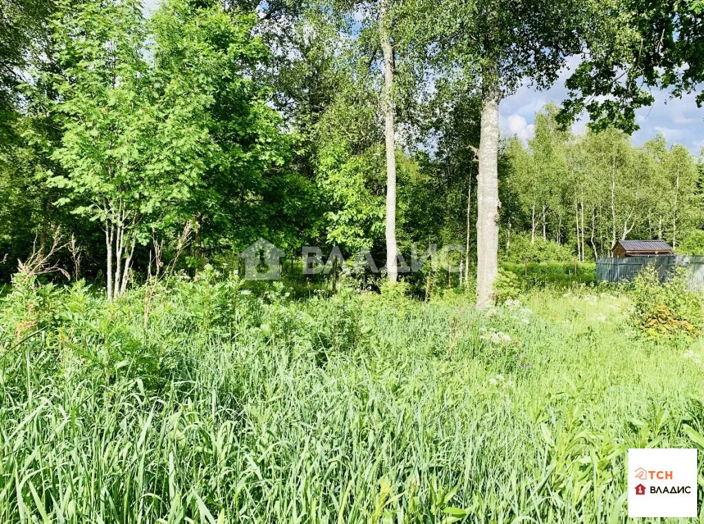 Продажа участка, Дмитровский район, улица Братьев Политовых - Фото 6