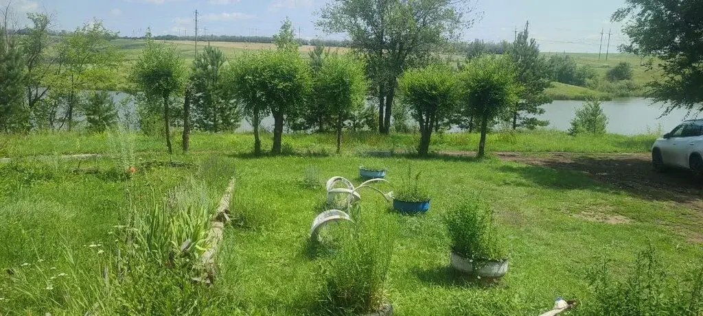 Готовый бизнес 780000 м2 - Фото 2