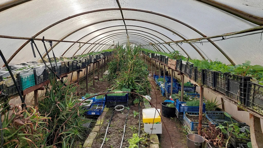 Продажа дома, Темрюк, Темрюкский район, ул. Горького - Фото 19