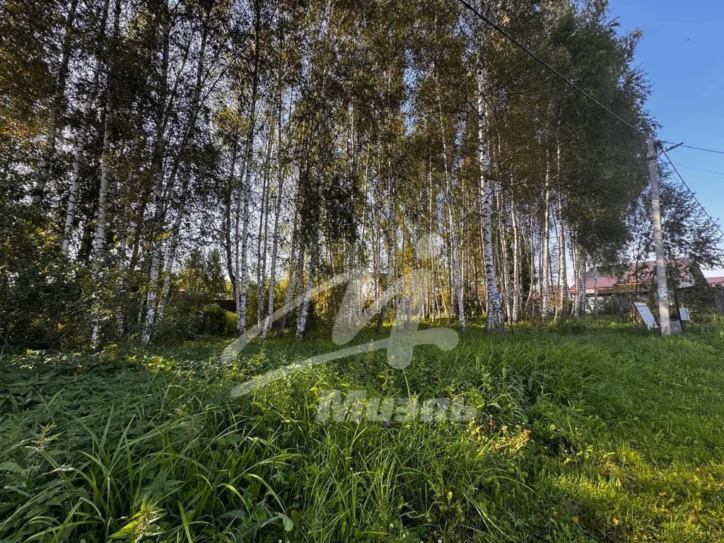 Продажа участка, Новая, Солнечногорский район - Фото 9