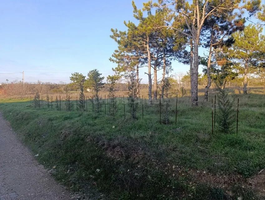 Продажа дома, Севастополь, территория СТ Фронтовик - Фото 13