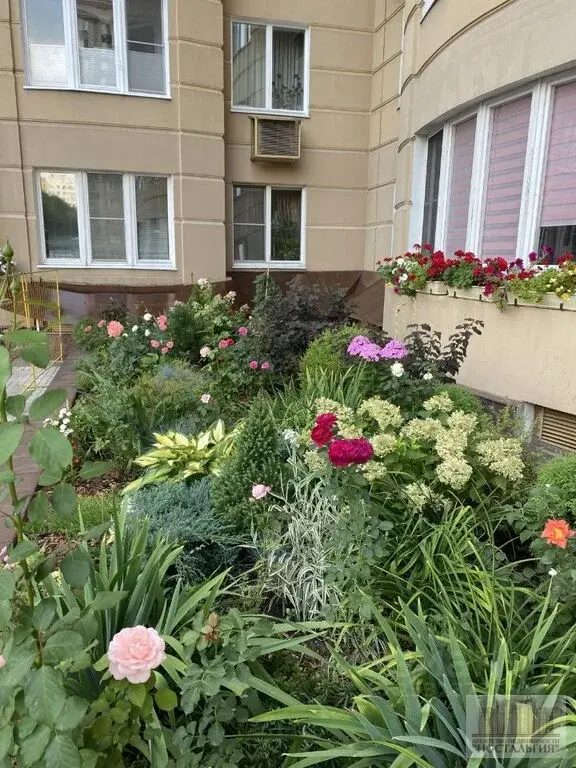 Сдам однокомнатную квартиру 62.0м - Фото 5