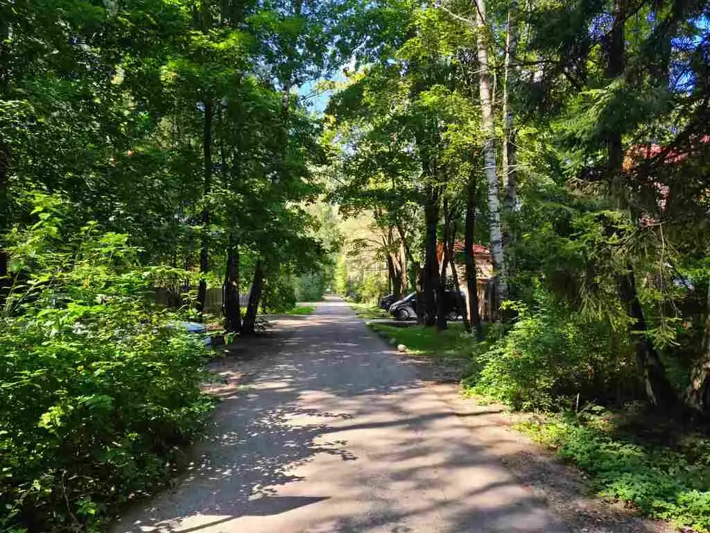 Рублево-Успенское ш. 6км. д. Барвиха ДПК Новь 12 соток сосновый лес - Фото 1