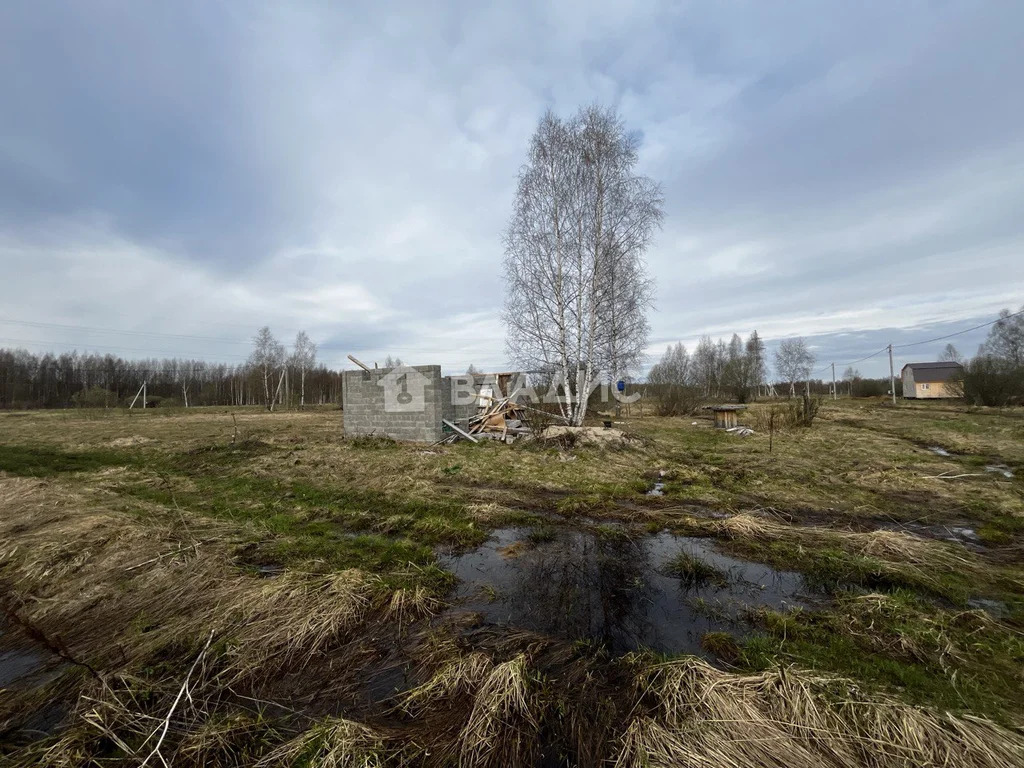 городской округ Клин, село Борщево,  земля на продажу - Фото 2