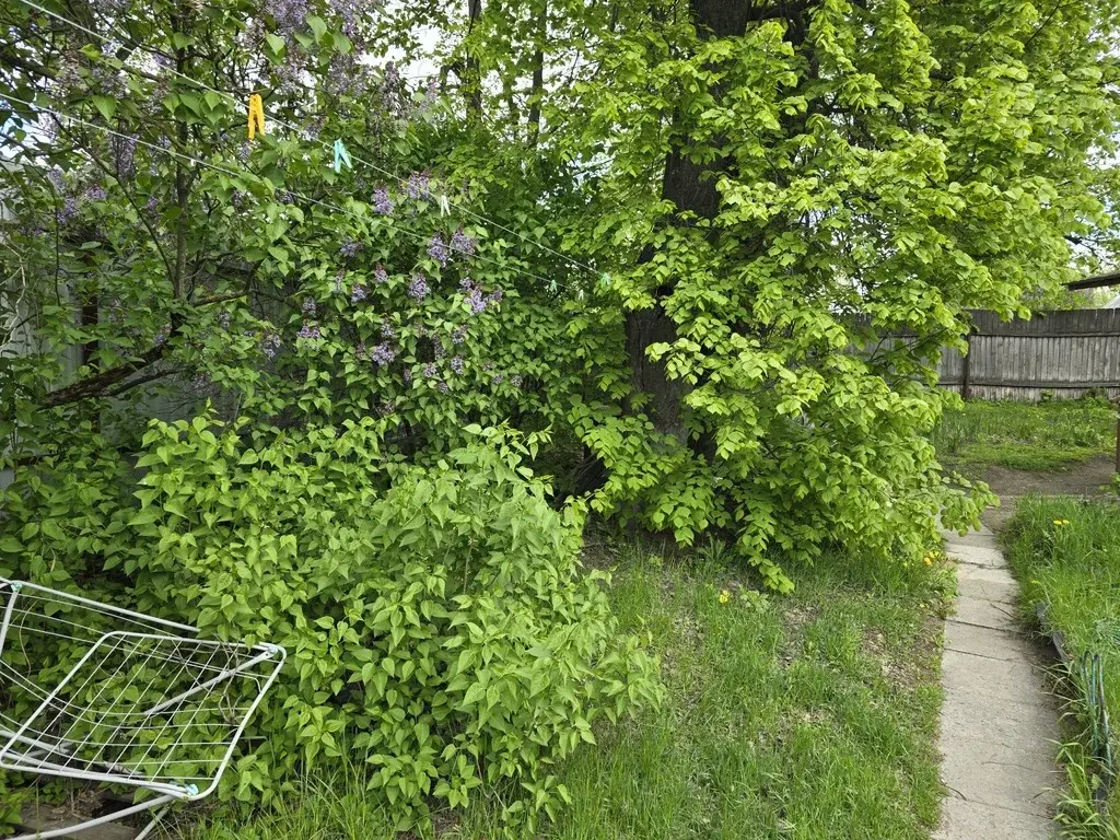 Продам участок с домом в Малаховке (Пехорка) - Фото 5
