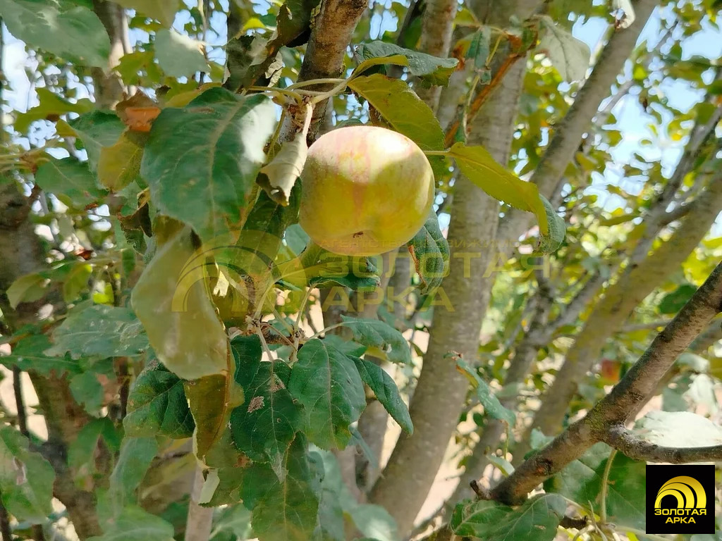 Продажа участка, Старотитаровская, Темрюкский район, Школьный пер. - Фото 7