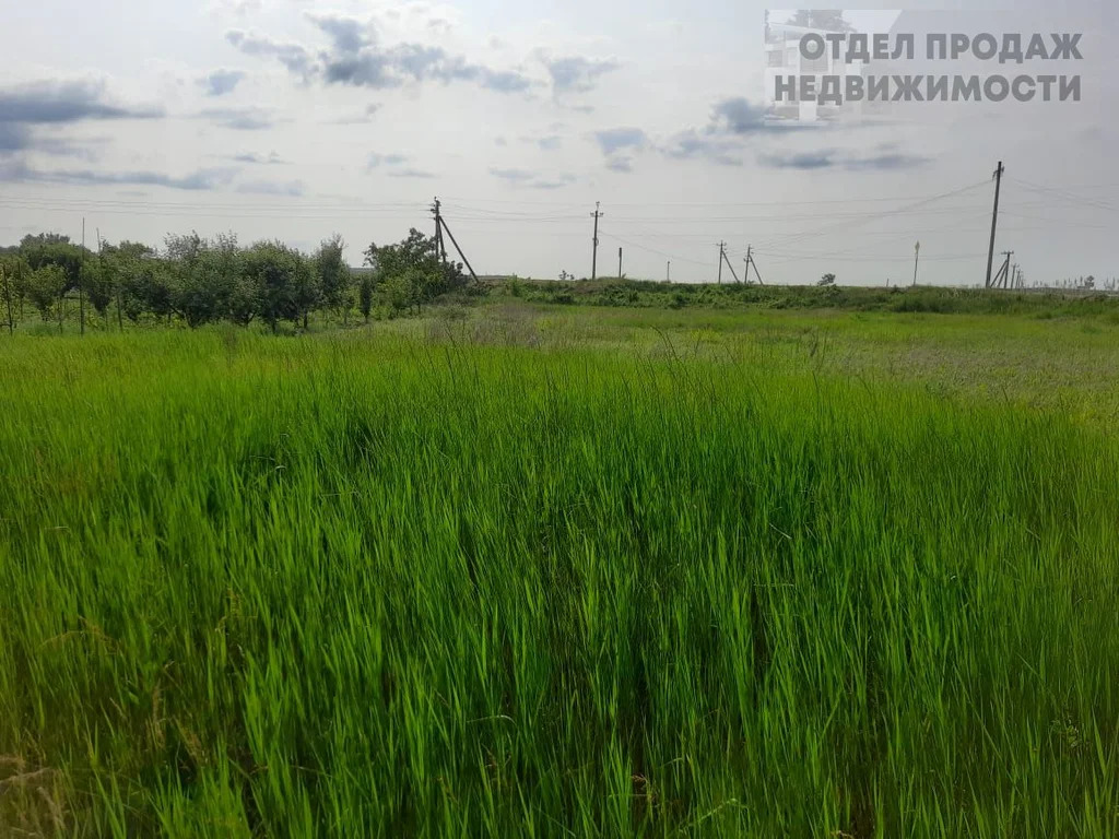 Объект 538147 - Фото 4