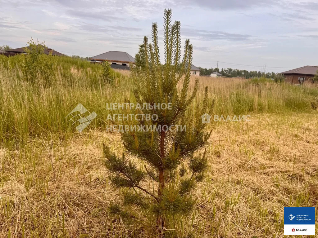 Продажа участка, Рязанский район - Фото 4