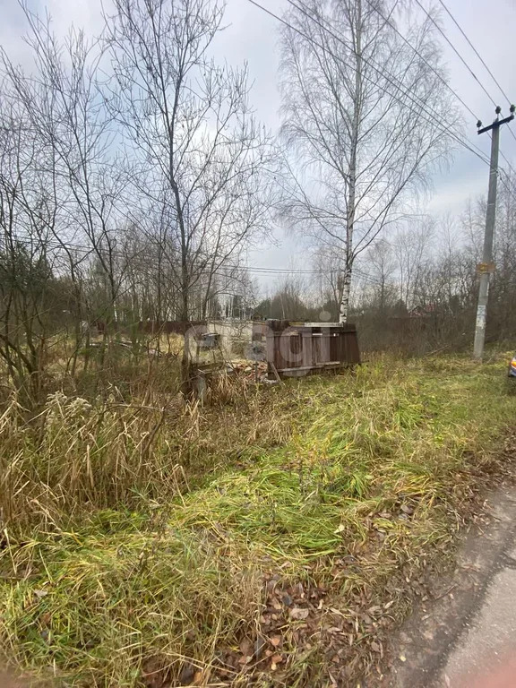 Продажа участка, Богородский г. о., садовое товарищество Чайка - Фото 5