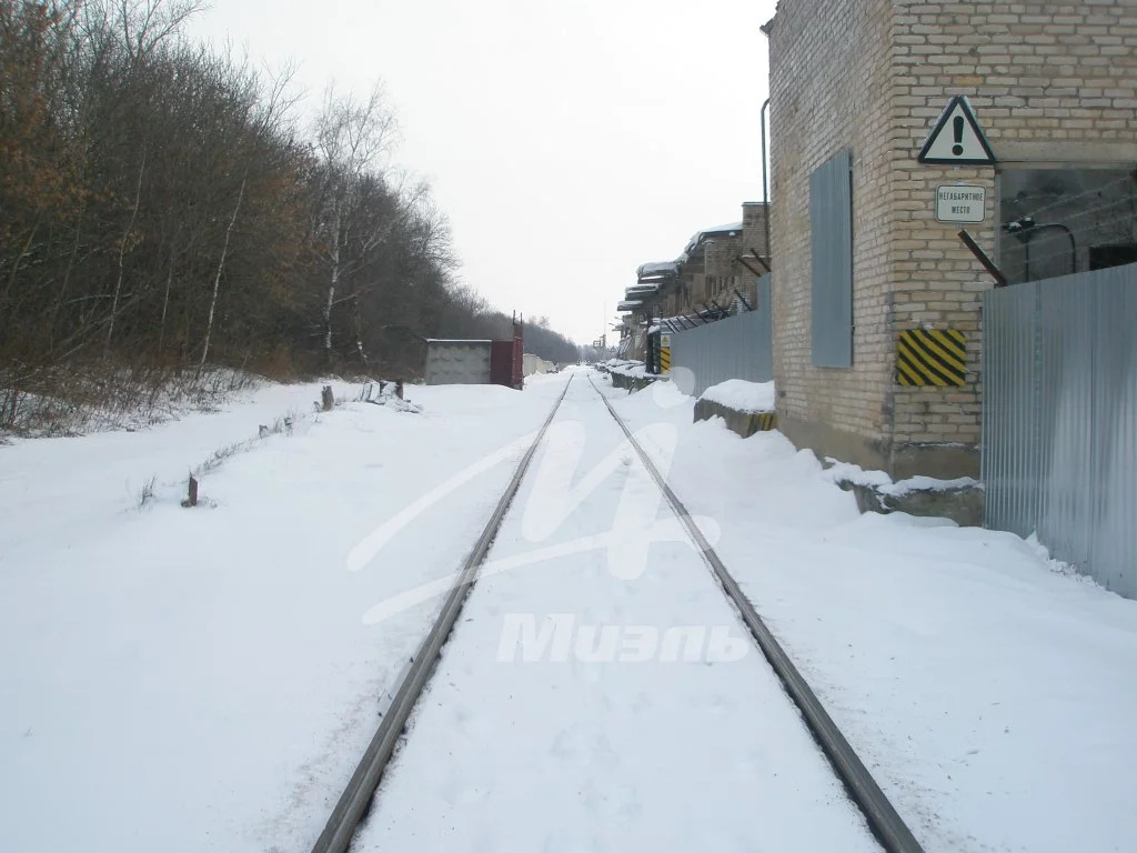 Продажа земельного участка, Кашира, Каширский район, ул. Центральная - Фото 6