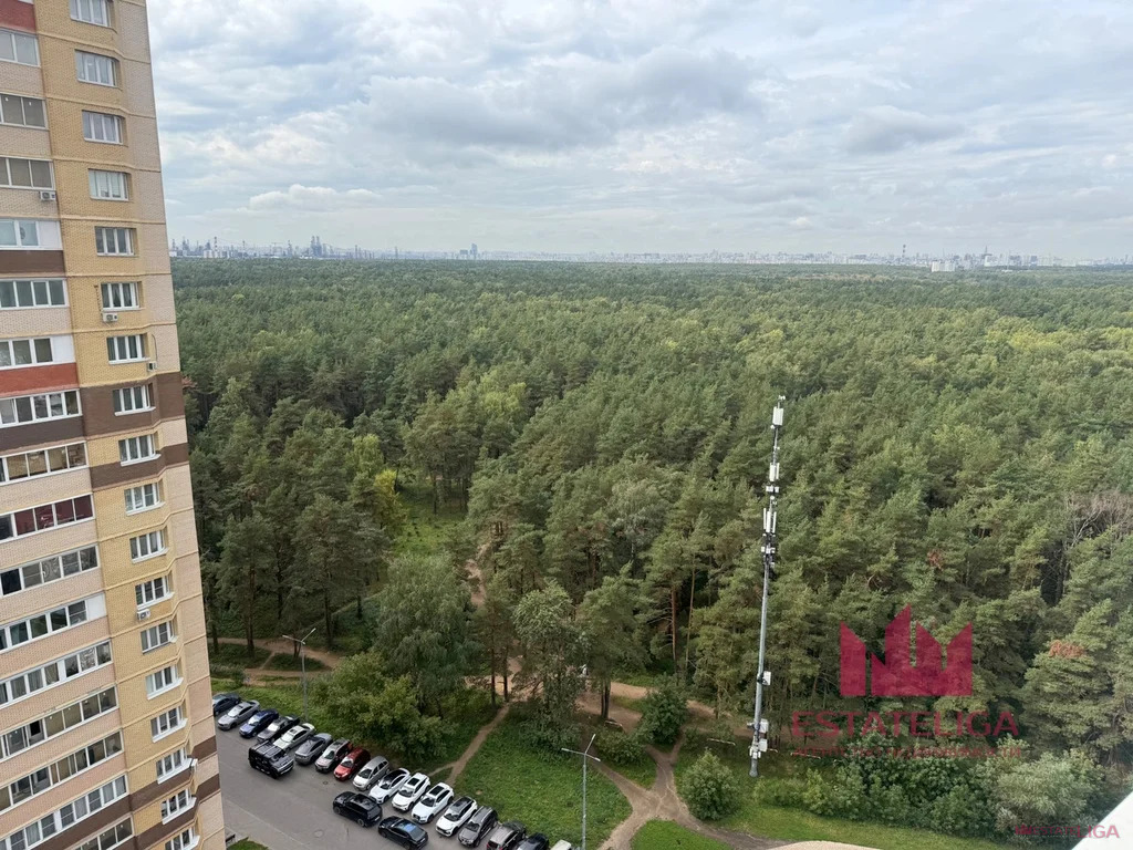 Продажа квартиры, Котельники, Сосновая улица - Фото 20