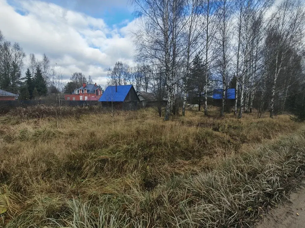 Продается участок 23 сот. ИЖС в д. Шорново - Фото 4