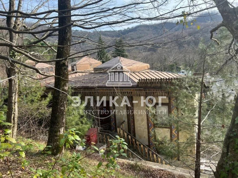 Продажа готового бизнеса, Агой, Туапсинский район, ул. Центральная - Фото 5