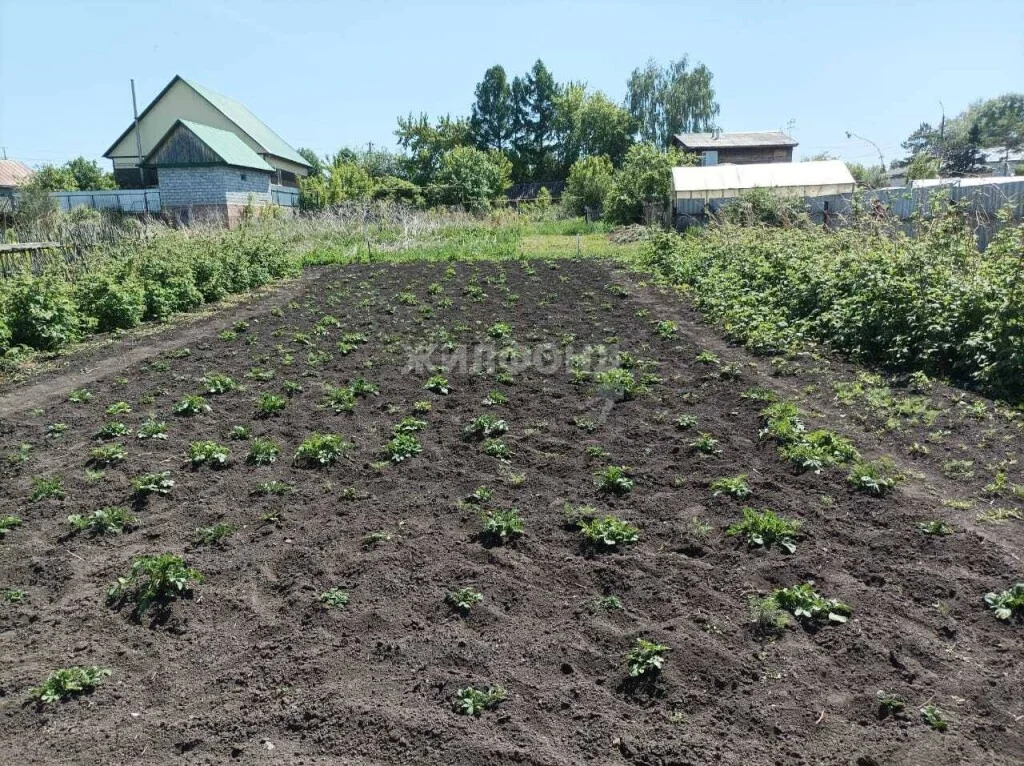 Продажа дома, Коченево, Коченевский район, ул. Калинина - Фото 12