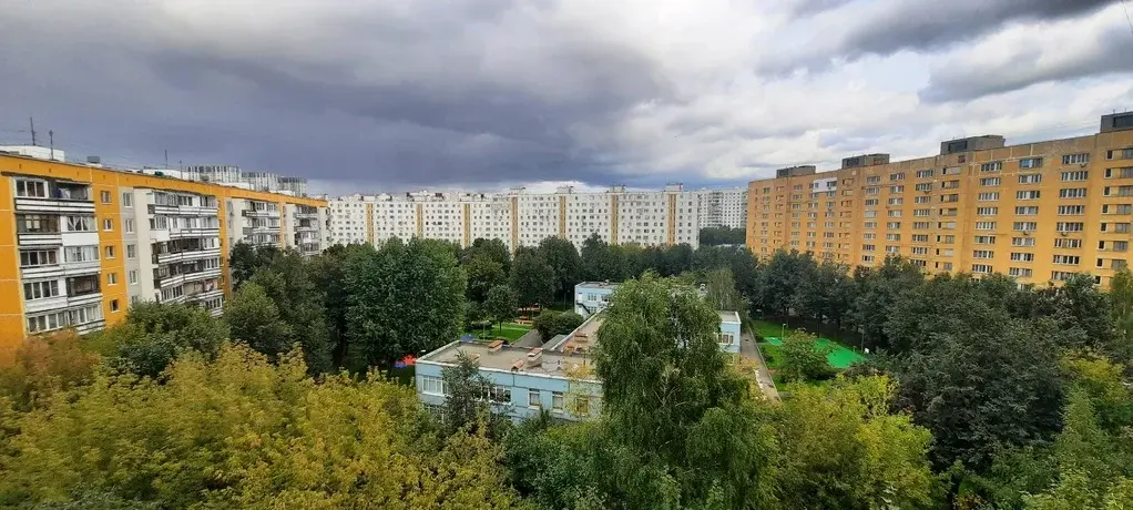 Ясенево 39