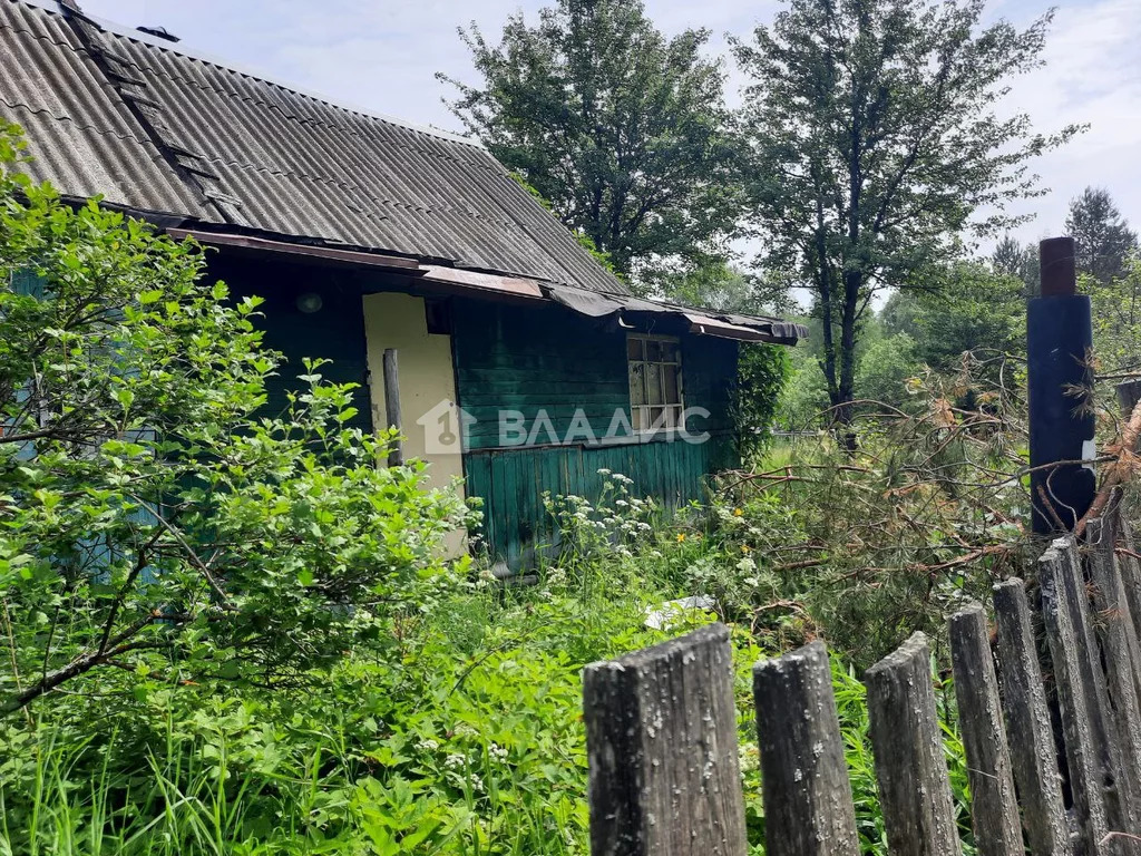 Судогодский район, деревня Луньково, Центральная улица, дом на . - Фото 15