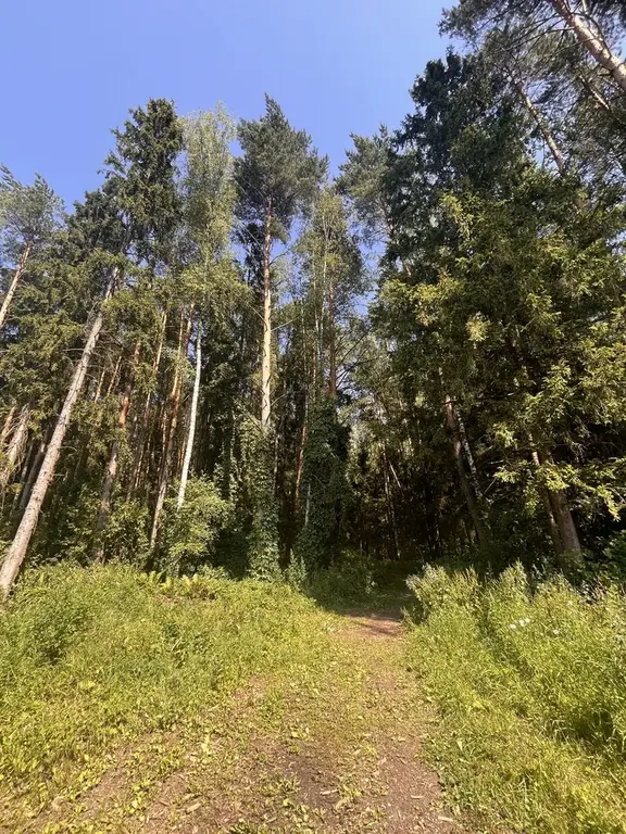 Продаю 2-х комнатную квартиру в поселке д. Чупряково, д. 2 - Фото 30