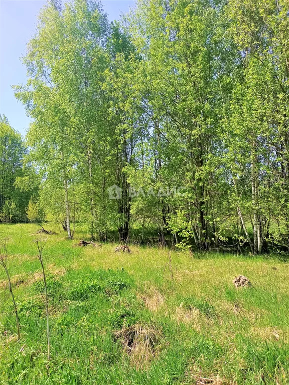 Боровский район, деревня Уваровское,  земля на продажу - Фото 6