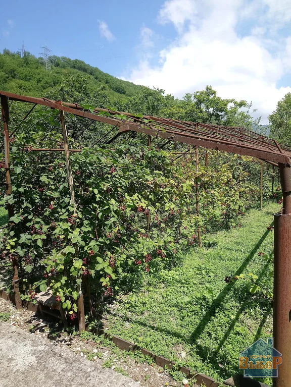 Продажа дома, Каткова Щель, Курганная улица - Фото 15