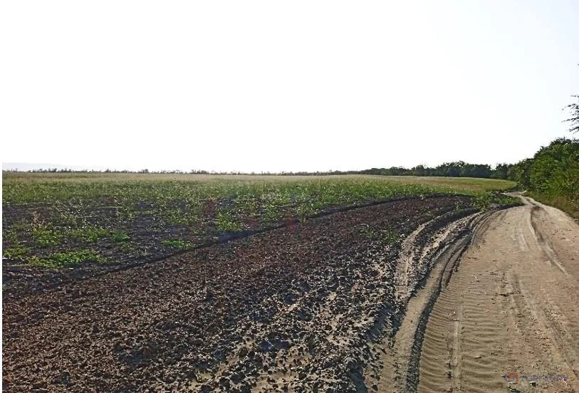 Продажа участка, Николаевская, Наурский район - Фото 3