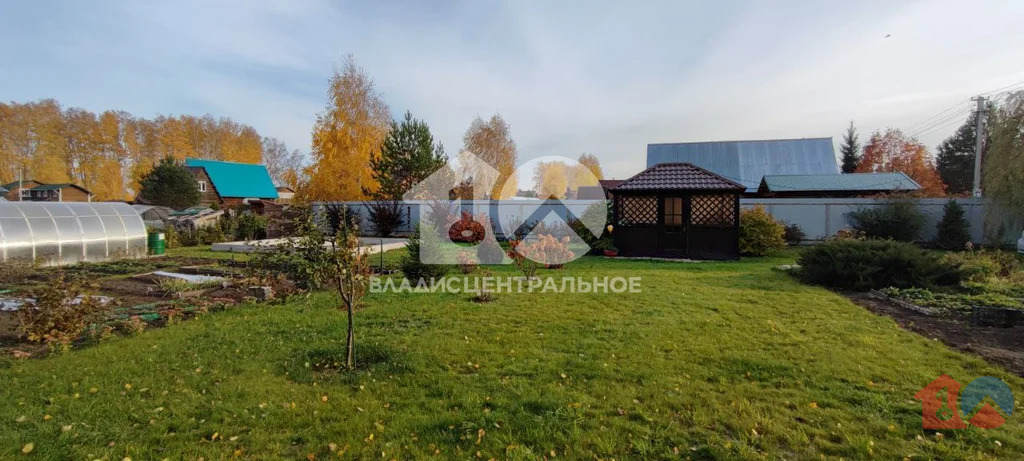 Новосибирский район, садовое товарищество Шафран,  земля на продажу - Фото 0