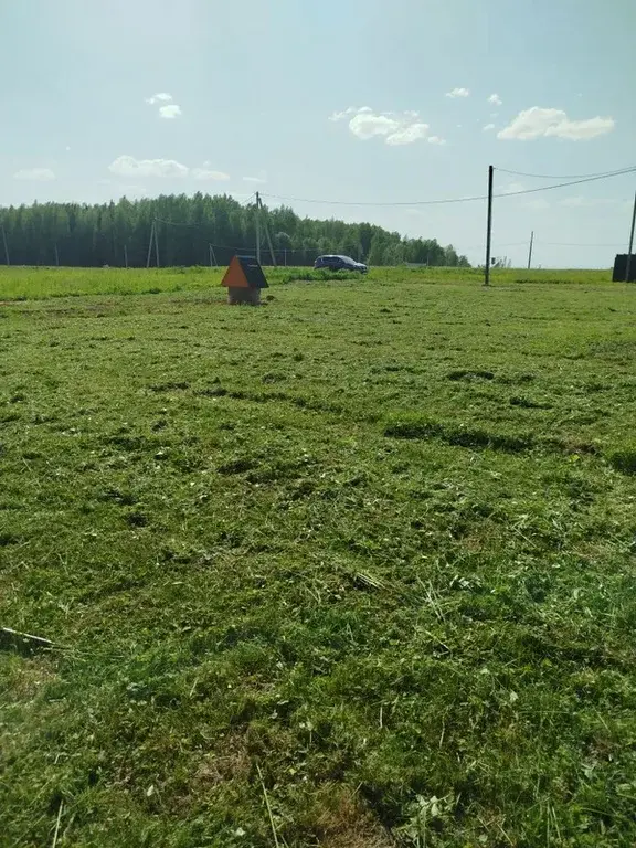 Земельный участок у леса - Фото 4