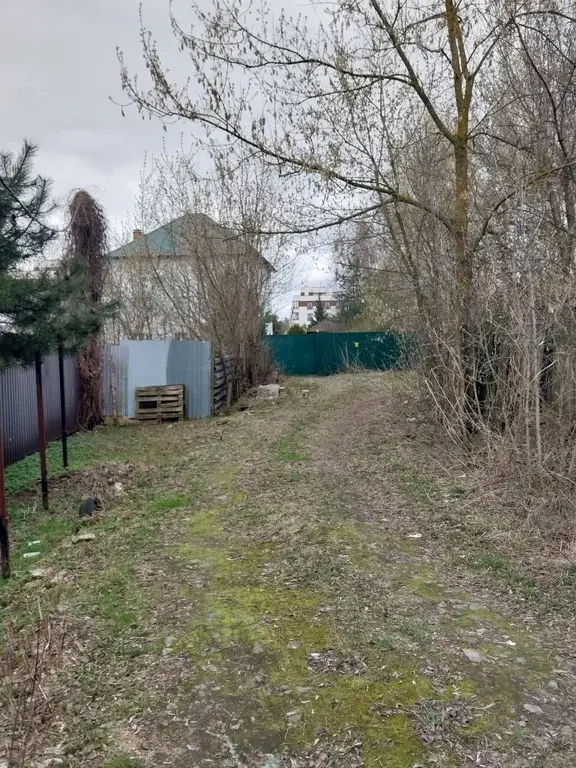 Участок 12,5 соток. д.Пехорка, Люберецкий р-н - Фото 9