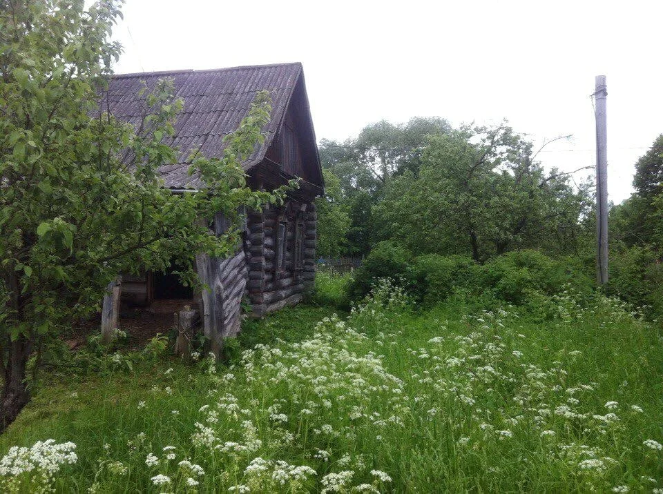 Фото Деревень Ступинского Района