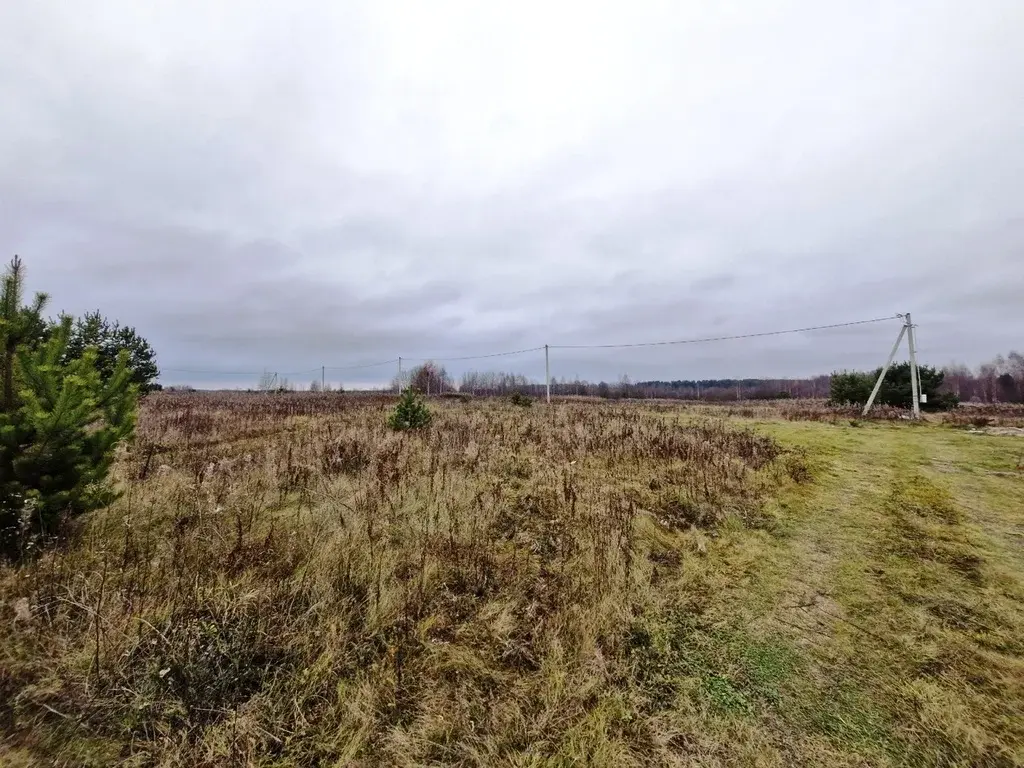 Участок в селе Саввино - Фото 4