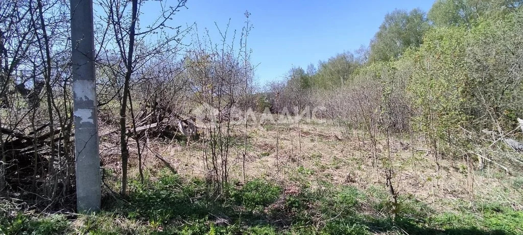 Суздальский район, посёлок Садовый, 1-й квартал, 5-я линия,  земля на ... - Фото 0