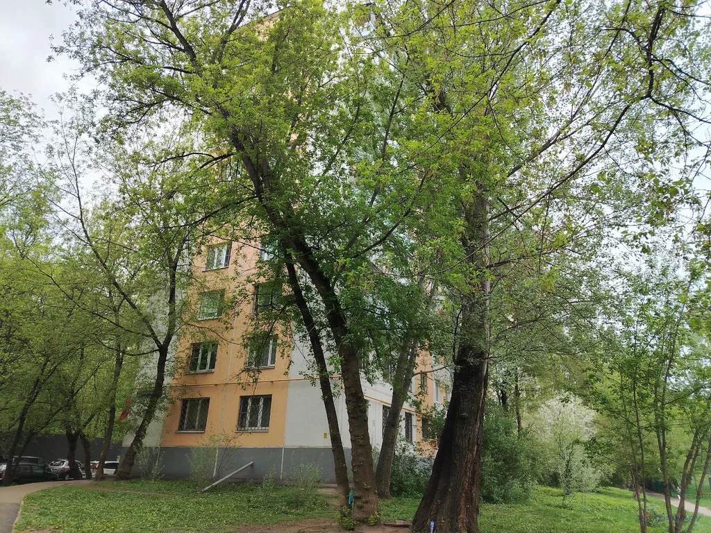 Продажа квартиры, 2-я Пугачевская улица - Фото 5