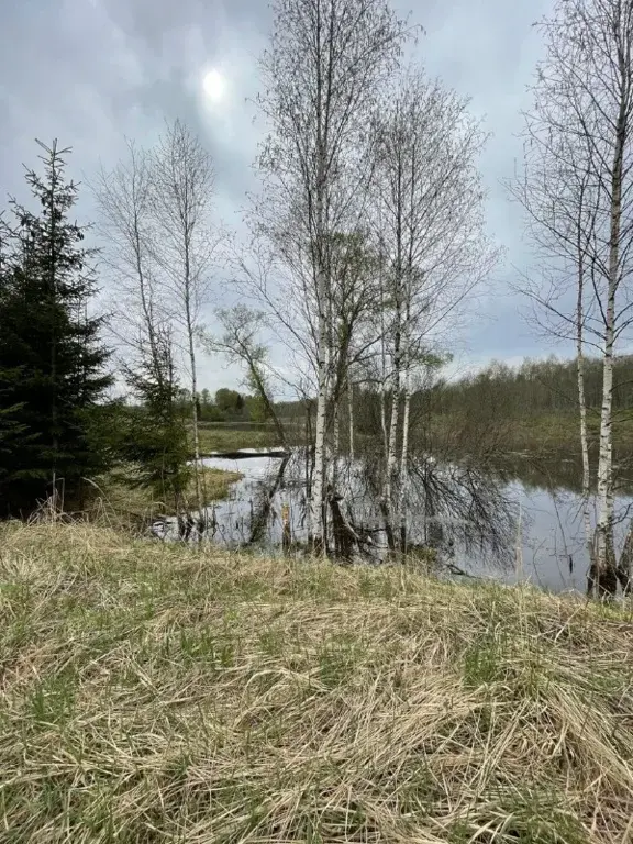 Продаю участок 25,8 га в Волоколамске - Фото 3