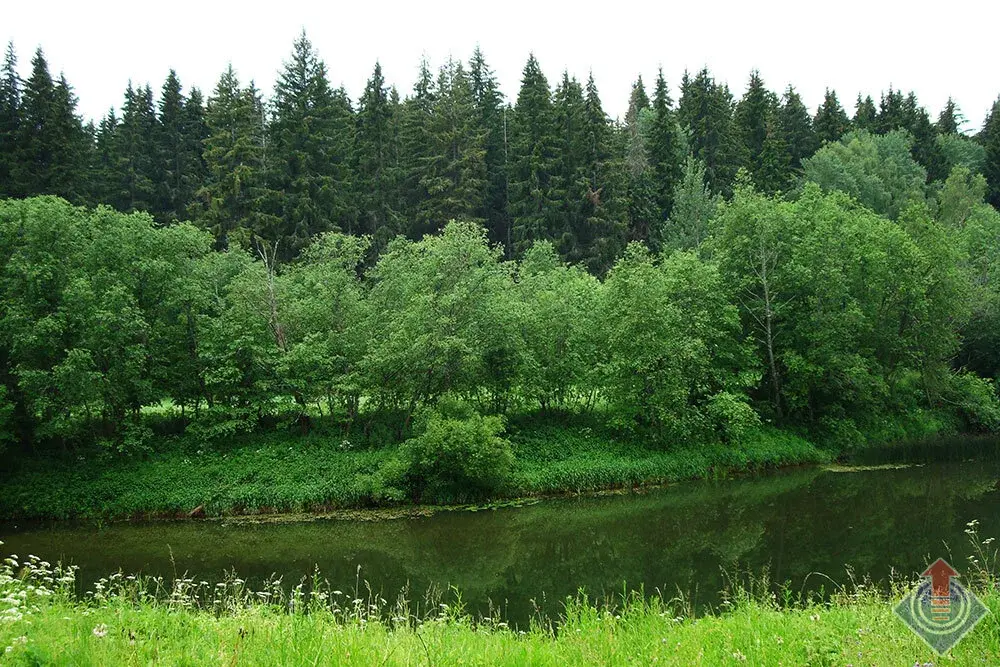 Продажа дома с баней в д. Мерчалово, Наро-Фоминский район - Фото 34
