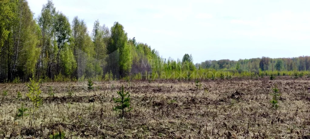 Продажа участка, Тюменский район, Тюменский р-н - Фото 0