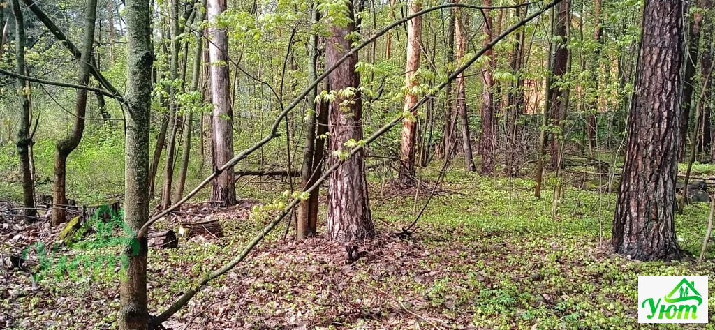 Продажа дома, Быково, Волоколамский район, улица Опаринская - Фото 23