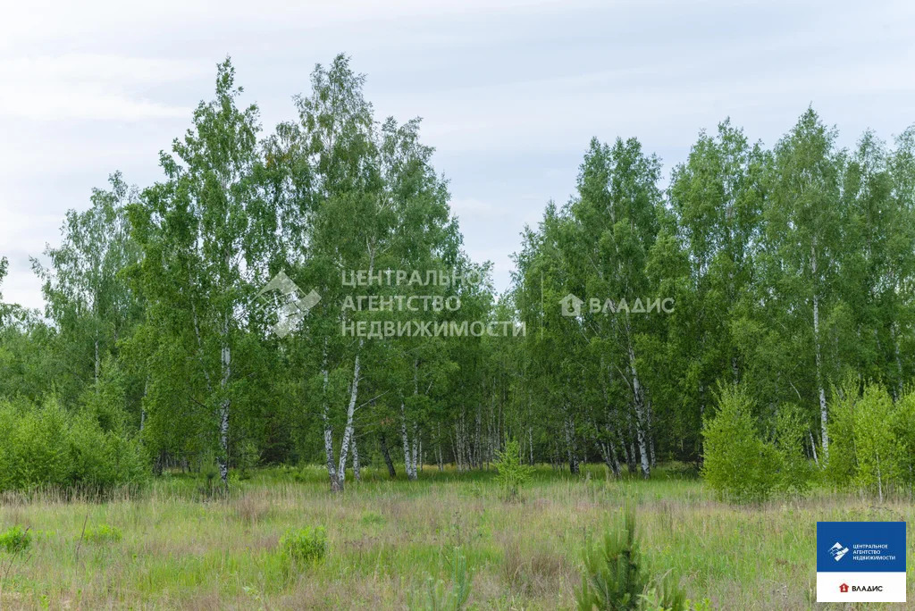 Продажа участка, Рязанский район - Фото 10