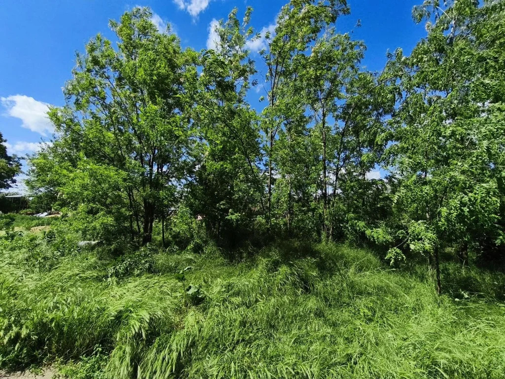 Продажа участка, Львовское, Северский район, ул. Кривая - Фото 5