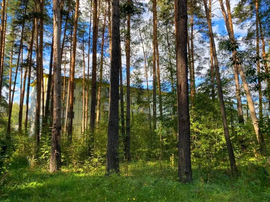 2-я квартира в с. Ильинский Погост, ул. Совхозная, д. 1 - Фото 2