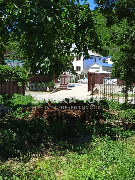 Продажа участка, Пляхо, Туапсинский район, Курортная ул. - Фото 7