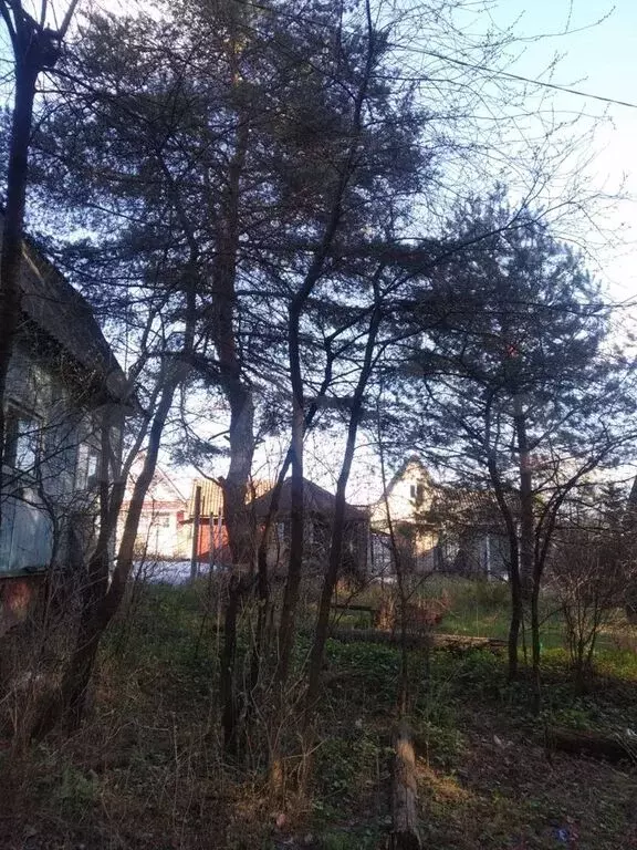 Продаётся дача 70 м на участке 15 сот. недалеко от города Луховицы - Фото 6
