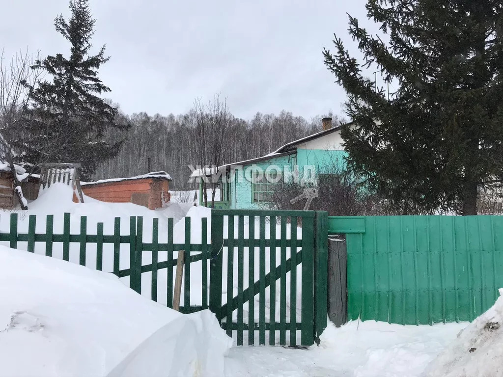 Купить Дачу В Тогучинском Районе Новосибирской Области